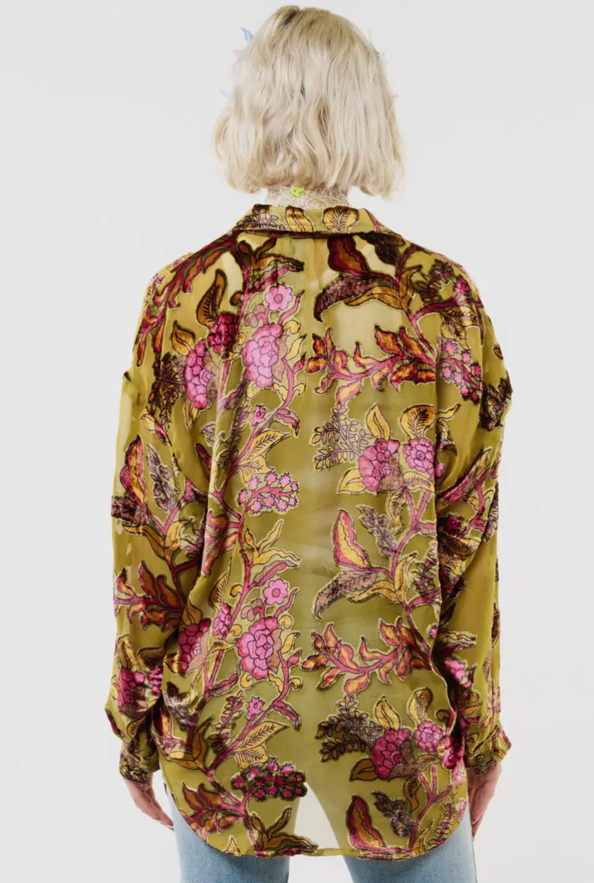 Holiday Velvet Burnout Blouse