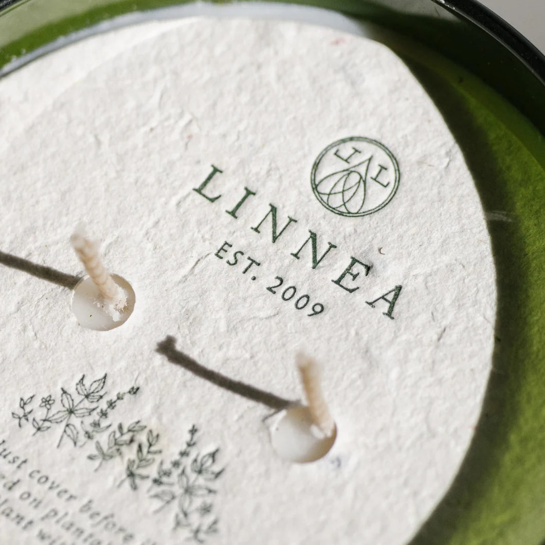 Crushed Mint Candle