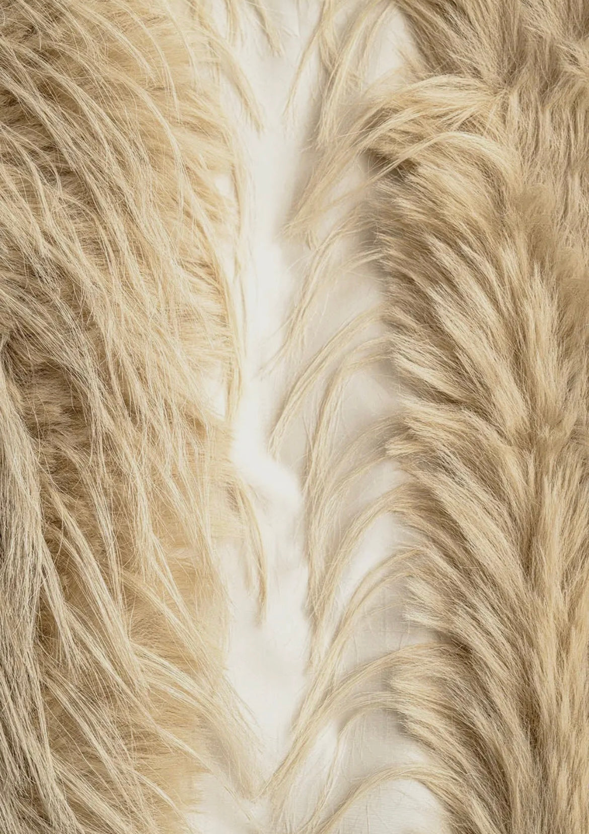 Long Fur Vest