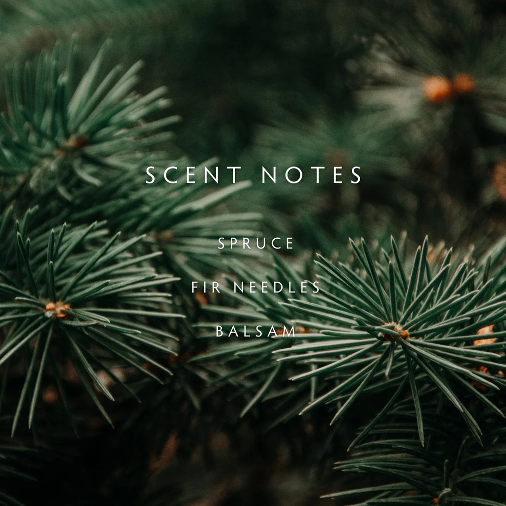 Forest Fir Candle