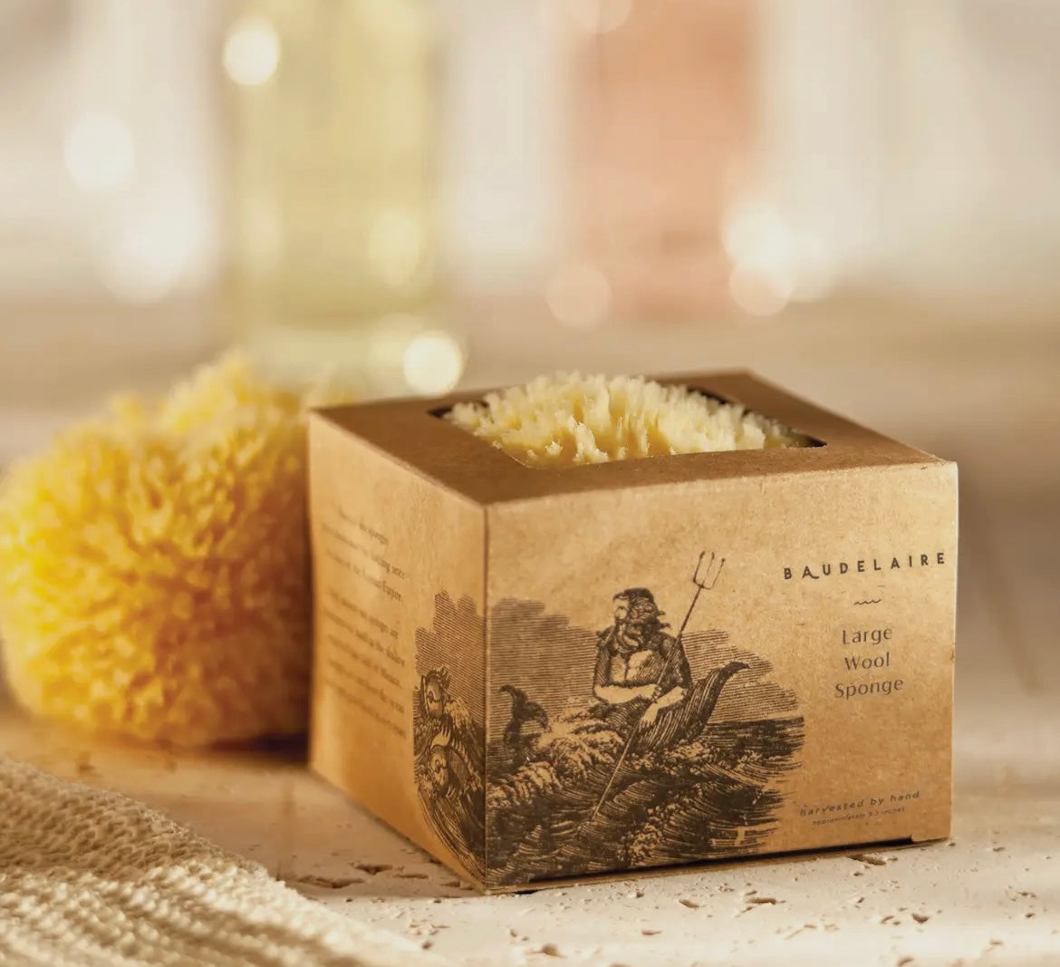 Bath Sea Sponge Gift Box - Small 4.5"
