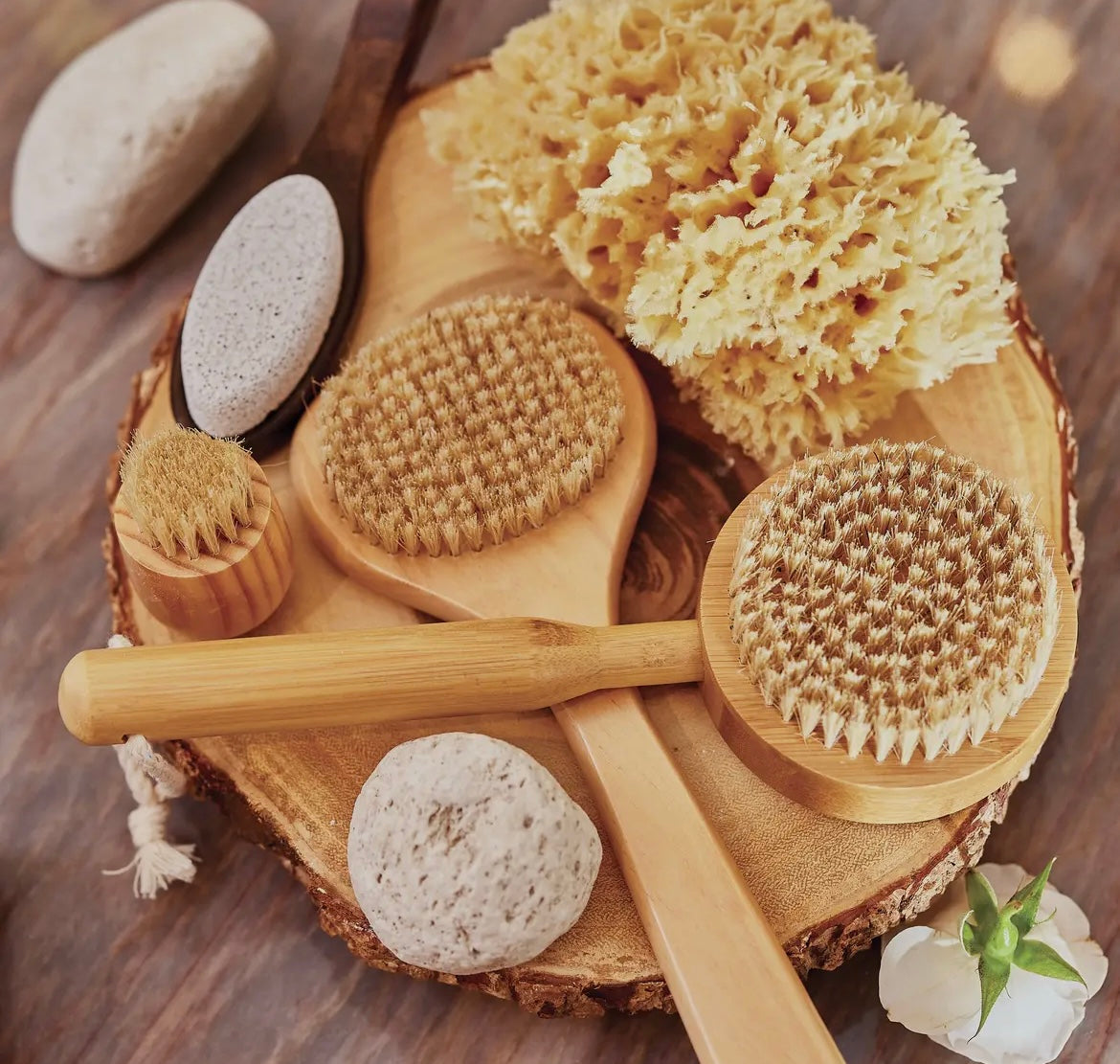 Bath Sea Sponge Gift Box - Small 4.5"
