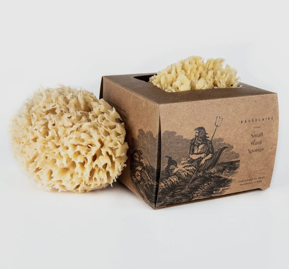 Bath Sea Sponge Gift Box - Small 4.5"