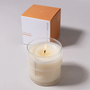 Bronzed | Orange Blossom X Jasmine | Candle