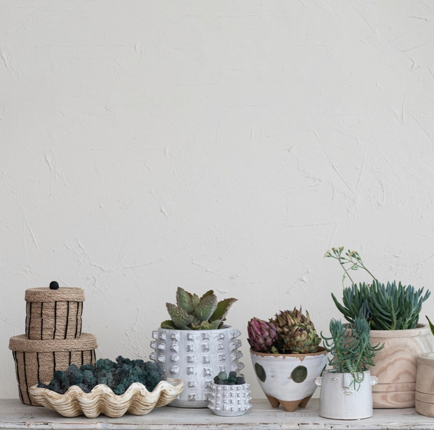 Magnesia Clamshell Décor, Natural Finish